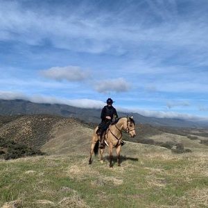 Meet your Posher, Lyle